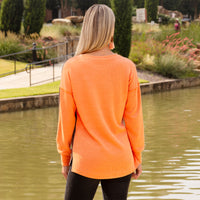 Load image into Gallery viewer, 40041 - Color Block Long Sleeve Top
