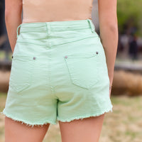 Load image into Gallery viewer, 10766 - High Waisted Shorts
